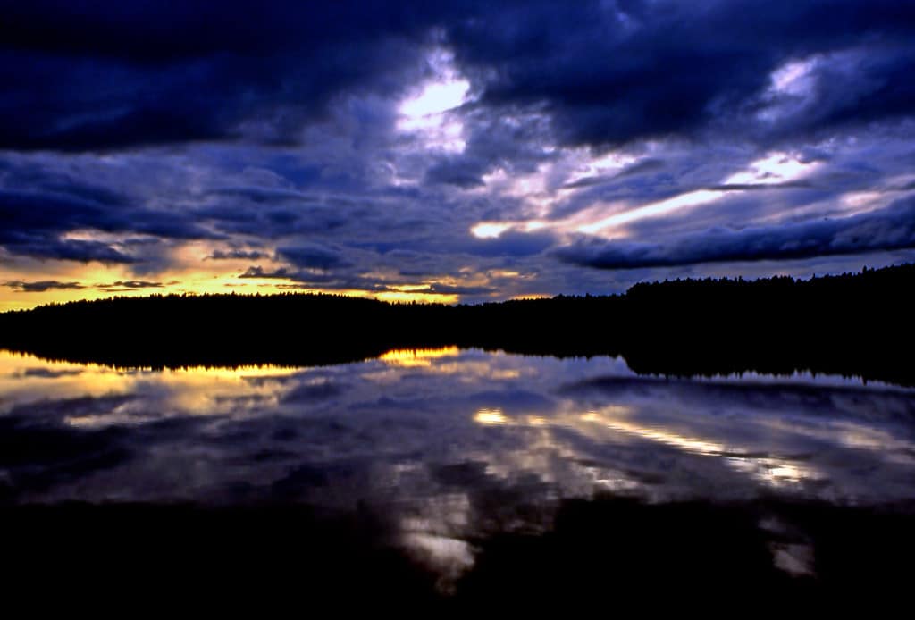 Featured Image for Terra Informa hosted by Various at CJRU