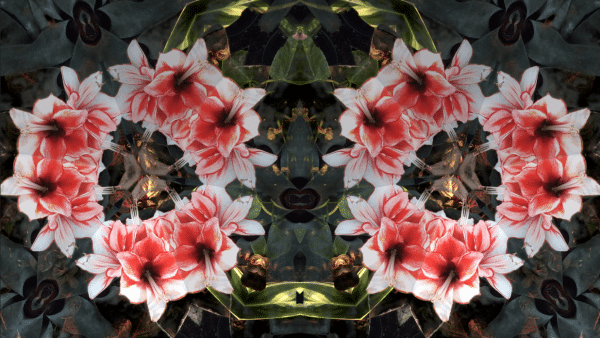 Artwork for Exquisite Departures by Vanese Smith