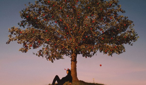 The album cover for slowthai's album TYRON. slowthai sits under a massive tree on the peak of a hill.