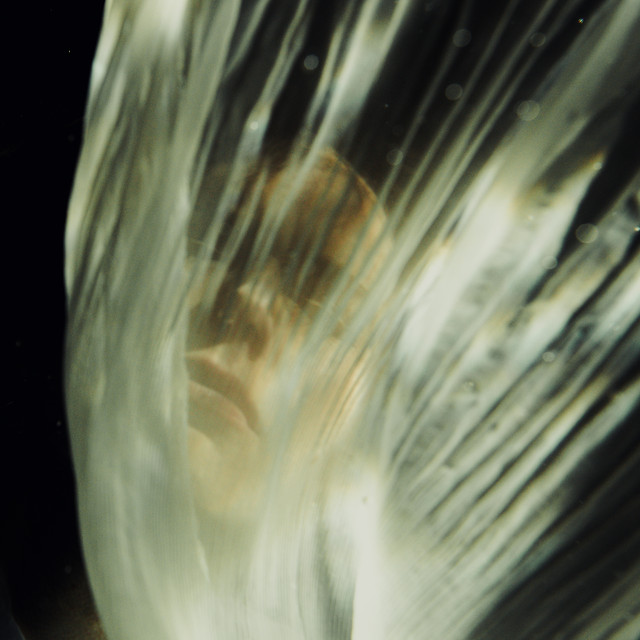 Heaven, Wait by Ghostly Kisses album cover